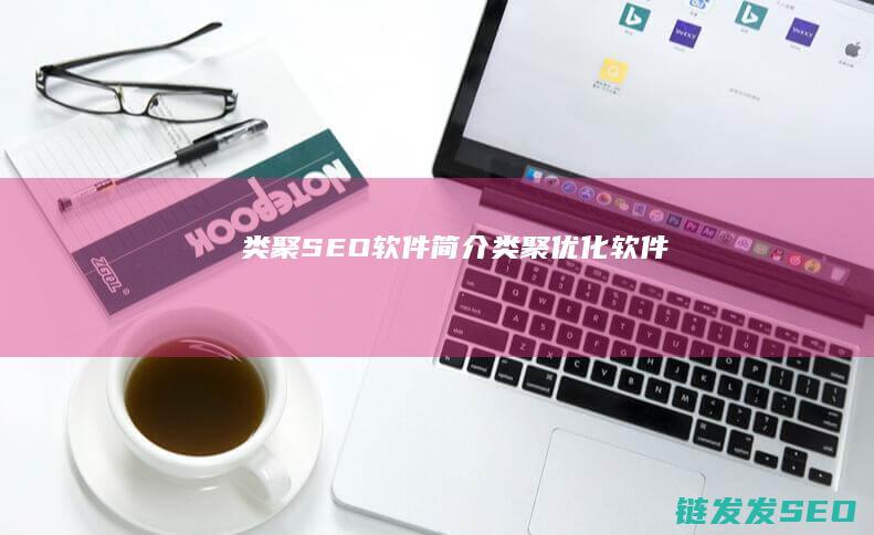 类聚SEO软件简介 (类聚优化软件)