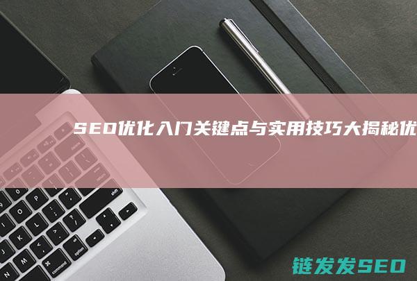 SEO优化入门：关键点与实用技巧大揭秘 (优化 seo)