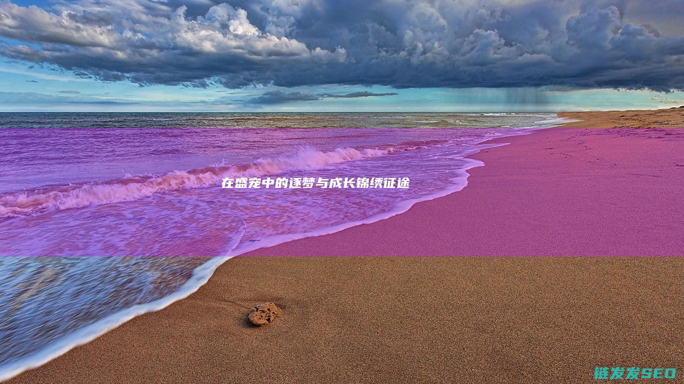 在盛宠中的逐梦与成长-锦绣征途