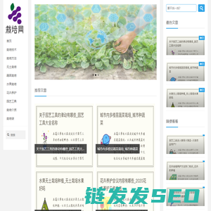 格鲁桍栽培网