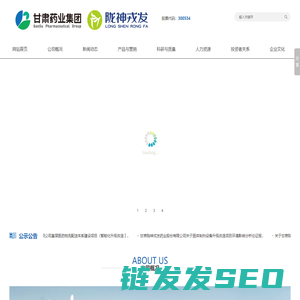 甘肃陇神戎发药业股份有限公司