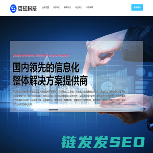 领先的信息化解决方案提供商