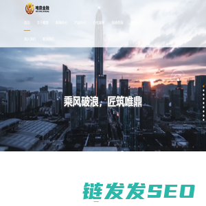广西唯鼎非融资性担保有限公司