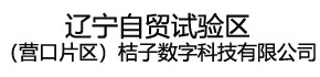 辽宁自贸试验区（营口片区）桔子数字科技有限公司