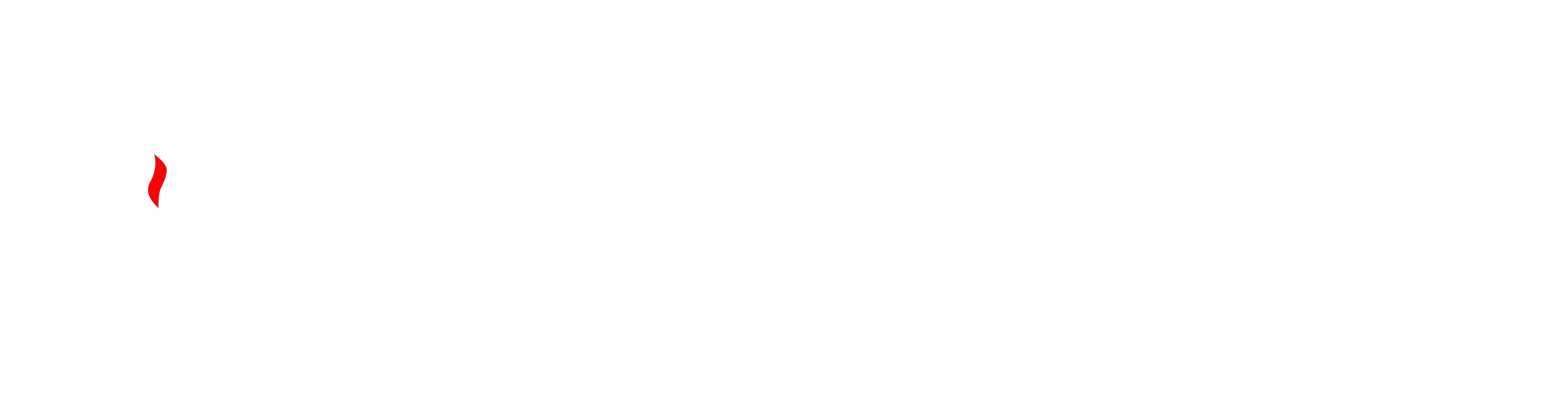 中国城市燃气协会